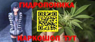 2c-b Кунгур