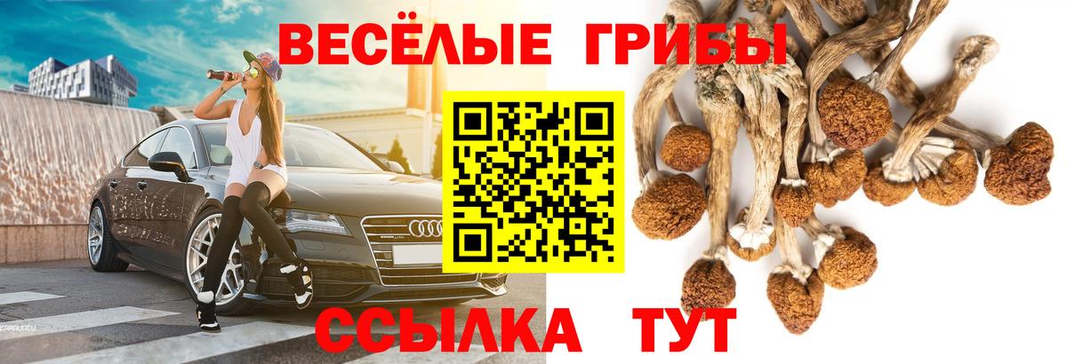 Псилоцибиновые грибы MAGIC MUSHROOMS  Галлюциногенные грибы Psilocybe  Бирск  Вход с VPN 
